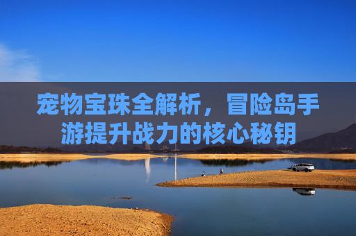 宠物宝珠全解析，冒险岛手游提升战力的核心秘钥