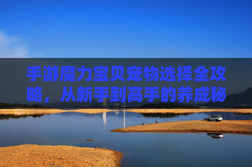 手游魔力宝贝宠物选择全攻略,从新手到高手的养成秘籍 手游魔力宝贝宠物选择全攻略,从新手到高手的养成秘籍