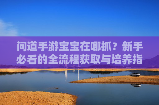 问道手游宝宝在哪抓?新手必看的全流程获取与培养指南 问道手游宝宝在哪抓?新手必看的全流程获取与培养指南