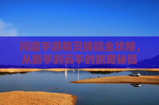 问道手游精灵捕捉全攻略，从新手到高手的抓宠秘籍