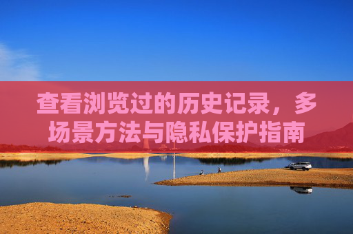 查看浏览过的历史记录，多场景方法与隐私保护指南
