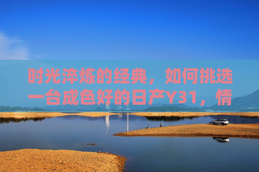 时光淬炼的经典，如何挑选一台成色好的日产Y31，情怀与品质并存？