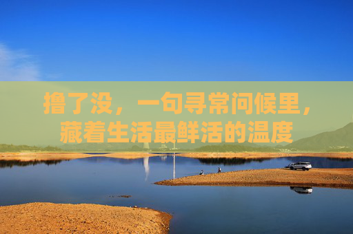 撸了没，一句寻常问候里，藏着生活最鲜活的温度