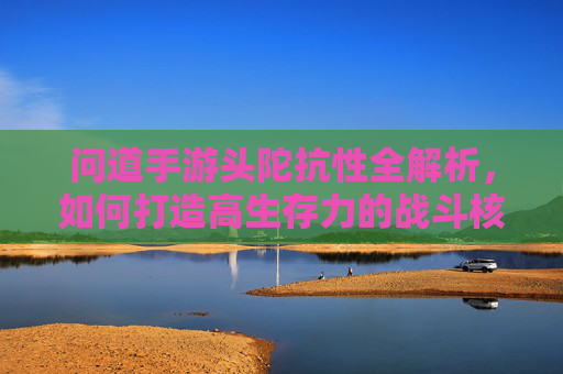 问道手游头陀抗性全解析，如何打造高生存力的战斗核心