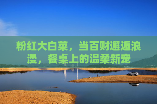 粉红大白菜，当百财邂逅浪漫，餐桌上的温柔新宠