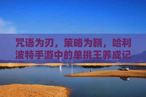 咒语为刃，策略为鞘，哈利波特手游中的单挑王养成记