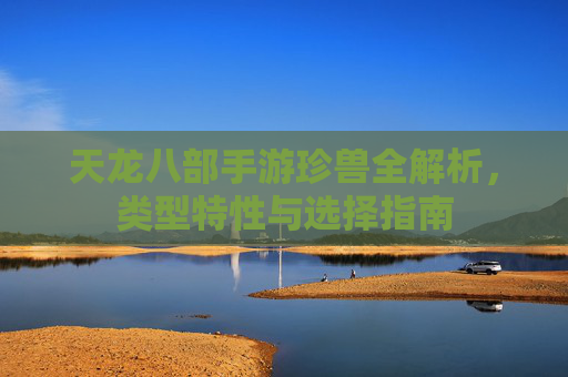 天龙八部手游珍兽全解析，类型特性与选择指南