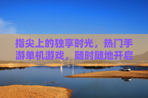 指尖上的独享时光，热门手游单机游戏，随时随地开启沉浸之旅