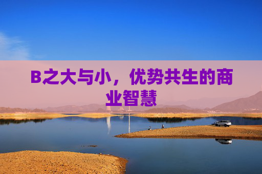 B之大与小，优势共生的商业智慧