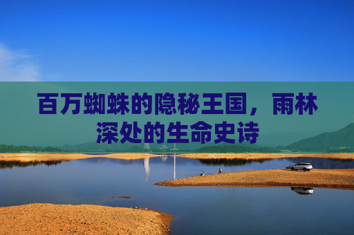 百万蜘蛛的隐秘王国,雨林深处的生命史诗 百万蜘蛛的隐秘王国,雨林深处的生命史诗