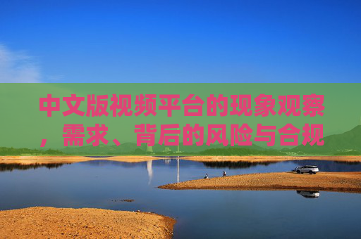 中文版视频平台的现象观察，需求、背后的风险与合规警示