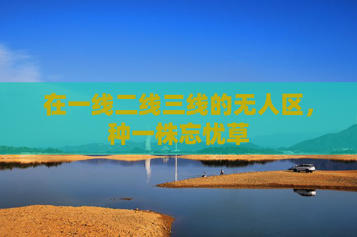 在一线二线三线的无人区,种一株忘忧草 在一线二线三线的无人区,种一株忘忧草