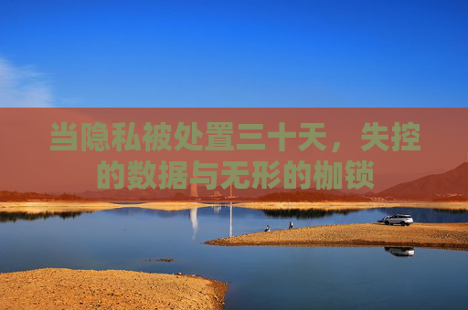 当隐私被处置三十天,失控的数据与无形的枷锁 当隐私被处置三十天,失控的数据与无形的枷锁