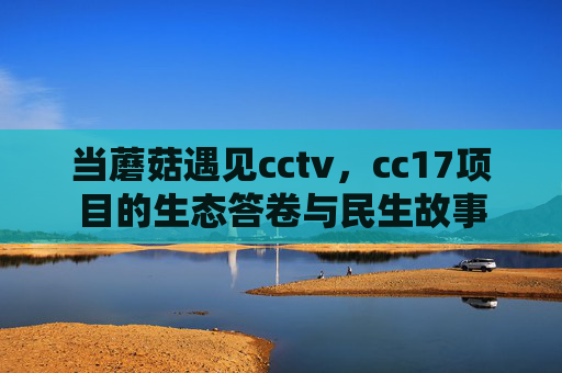 当蘑菇遇见cctv,cc17项目的生态答卷与民生故事 当蘑菇遇见cctv,cc17项目的生态答卷与民生故事