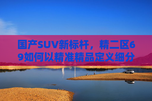 国产SUV新标杆,精二区69如何以精准精品定义细分市场新高度? 国产SUV新标杆,精二区69如何以精准精品定义细分市场新高度?