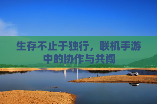 生存不止于独行，联机手游中的协作与共闯