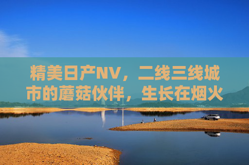 精美日产NV,二线三线城市的蘑菇伙伴,生长在烟火里的精致 精美日产NV,二线三线城市的蘑菇伙伴,生长在烟火里的精致