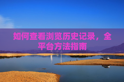 如何查看浏览历史记录,全平台方法指南 如何查看浏览历史记录,全平台方法指南