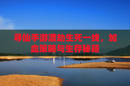 寻仙手游渡劫生死一线,加血策略与生存秘籍 寻仙手游渡劫生死一线,加血策略与生存秘籍