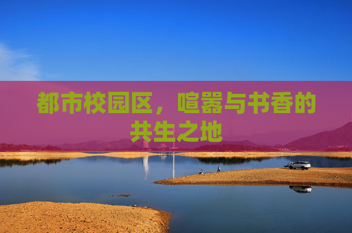 都市校园区,喧嚣与书香的共生之地 都市校园区,喧嚣与书香的共生之地