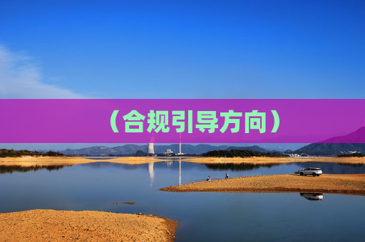 (合规引导方向) (合规引导方向)
