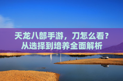 天龙八部手游，刀怎么看？从选择到培养全面解析