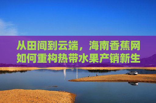 从田间到云端，海南香蕉网如何重构热带水果产销新生态