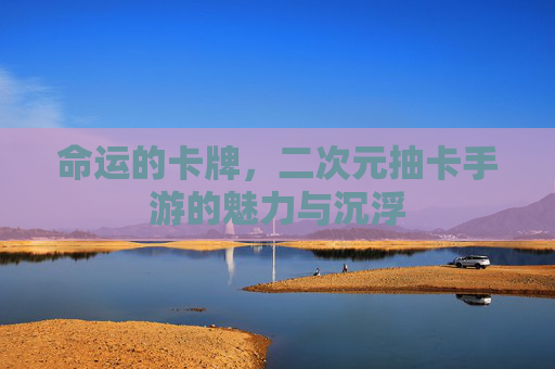 命运的卡牌，二次元抽卡手游的魅力与沉浮