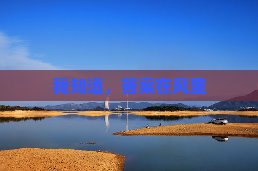 我知道，答案在风里