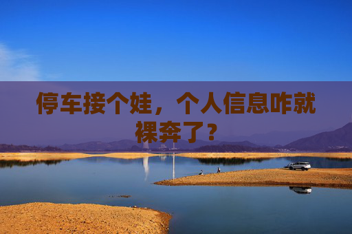 停车接个娃，个人信息咋就裸奔了？