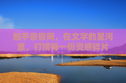 触手录官网，在文字的星河里，打捞每一份灵感碎片