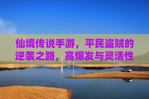 仙境传说手游，平民盗贼的逆袭之路，高爆发与灵活性的性价比之选