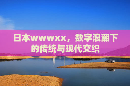 日本wwwxx，数字浪潮下的传统与现代交织