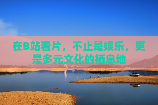 在B站看片，不止是娱乐，更是多元文化的栖息地