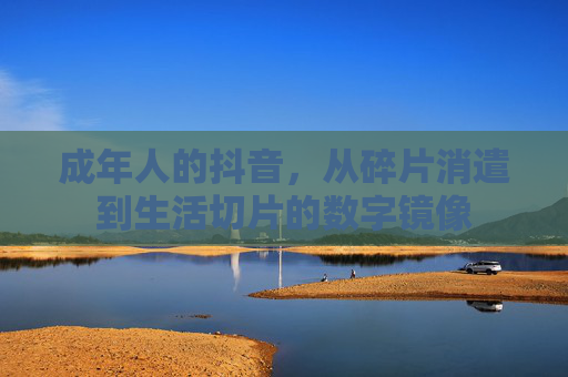 成年人的抖音，从碎片消遣到生活切片的数字镜像
