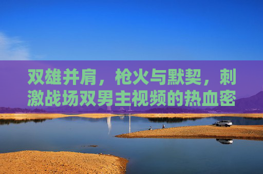 双雄并肩，枪火与默契，刺激战场双男主视频的热血密码
