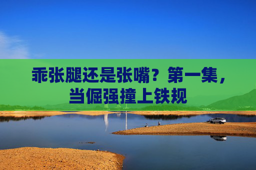 乖张腿还是张嘴?第一集,当倔强撞上铁规 乖张腿还是张嘴?第一集,当倔强撞上铁规
