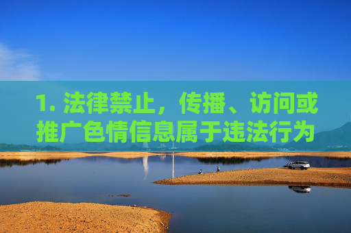 1. 法律禁止，传播、访问或推广色情信息属于违法行为，公安机关将依法严厉打击，涉事人员将面临罚款、拘留等行政处罚，构成犯罪的将追究刑事责任