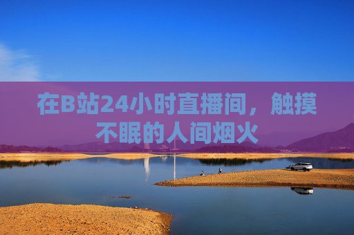 在B站24小时直播间，触摸不眠的人间烟火