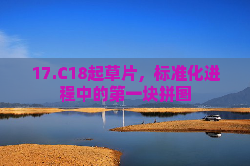 17.C18起草片，标准化进程中的第一块拼图