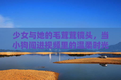 少女与她的毛茸茸镜头,当小狗闯进视频里的温柔时光 少女与她的毛茸茸镜头,当小狗闯进视频里的温柔时光