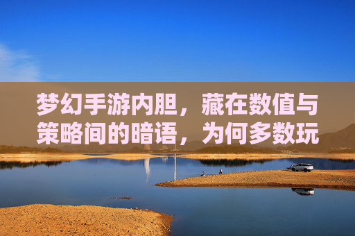 梦幻手游内胆,藏在数值与策略间的暗语,为何多数玩家难悟其道? 梦幻手游内胆,藏在数值与策略间的暗语,为何多数玩家难悟其道?