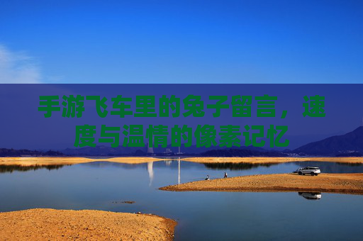 手游飞车里的兔子留言，速度与温情的像素记忆