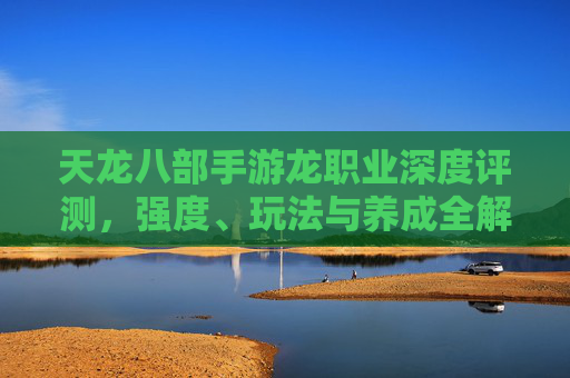天龙八部手游龙职业深度评测,强度、玩法与养成全解析 天龙八部手游龙职业深度评测,强度、玩法与养成全解析