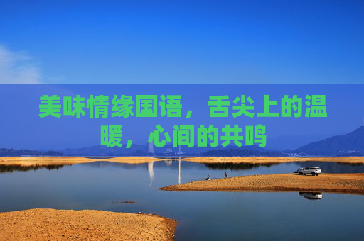 美味情缘国语，舌尖上的温暖，心间的共鸣