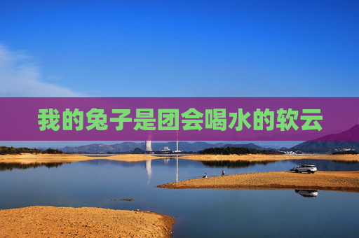 我的兔子是团会喝水的软云