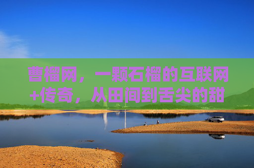 曹榴网，一颗石榴的互联网+传奇，从田间到舌尖的甜蜜链接