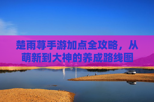 楚雨荨手游加点全攻略,从萌新到大神的养成路线图 楚雨荨手游加点全攻略,从萌新到大神的养成路线图