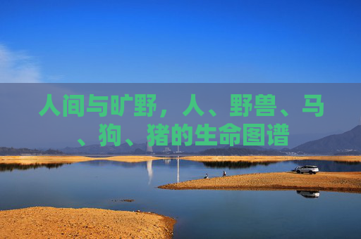 人间与旷野,人、野兽、马、狗、猪的生命图谱 人间与旷野,人、野兽、马、狗、猪的生命图谱