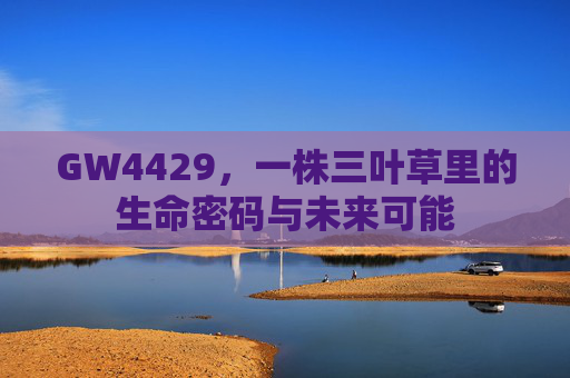 GW4429,一株三叶草里的生命密码与未来可能 GW4429,一株三叶草里的生命密码与未来可能